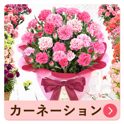 売れ筋新商品 選べるシャボンフラワーギフト（フラミンゴ） おいもや | 花束・アレンジメント
