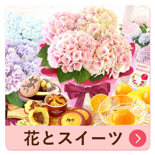 送料追加専用690円】 | おいもや 送料追加専用690円】 | おいもや