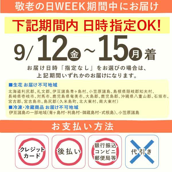 魅惑のスイーツ福袋 【福袋 ギフト プレゼント 贈り物 送料無料 スイーツ お菓子 和菓子 洋菓子 大福 芋けんぴ ようかん 焼き芋 紅はるか 洋菓子 モンブラン スイートポテト バウムクーヘン バウム お祝い 誕生日 お礼 内祝い お見舞い お世話になりました お供え 志】