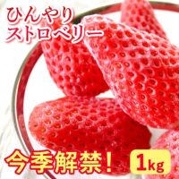【期間限定】ひんやりストロベリー 1kg 国産 冷凍いちご 冷凍フルーツ 苺 イチゴ 静岡産 紅ほっぺ あきひめ 章姫 ひんやりストロベリー フルーツ スイーツ 国産 冷凍 苺 いちご アイス デザート フローズン 人気 おすすめ おやつ 大容量 夏 おいもや