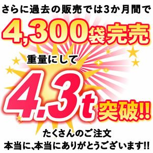 【期間限定】ひんやりストロベリー 1kg 国産 冷凍いちご 冷凍フルーツ 苺 イチゴ 静岡産 紅ほっぺ あきひめ 章姫 ひんやりストロベリー フルーツ スイーツ 国産 冷凍 苺 いちご アイス デザート フローズン 人気 おすすめ おやつ 大容量 夏 おいもや