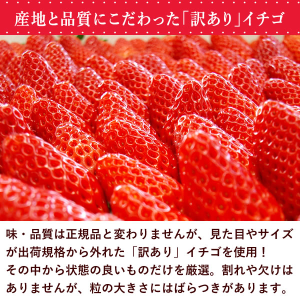 【期間限定】ひんやりストロベリー 1kg 国産 冷凍いちご 冷凍フルーツ 苺 イチゴ 静岡産 紅ほっぺ あきひめ 章姫 ひんやりストロベリー フルーツ スイーツ 国産 冷凍 苺 いちご アイス デザート フローズン 人気 おすすめ おやつ 大容量 夏 おいもや