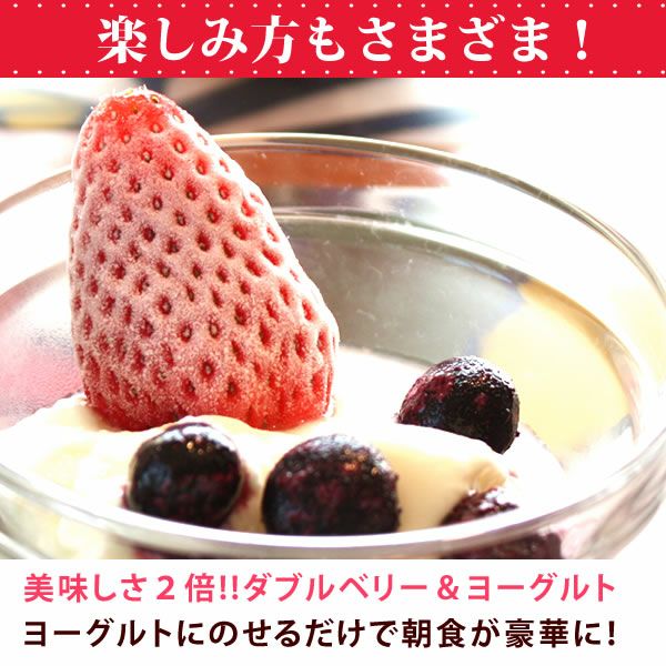 【期間限定】ひんやりストロベリー 1kg 国産 冷凍いちご 冷凍フルーツ 苺 イチゴ 静岡産 紅ほっぺ あきひめ 章姫 ひんやりストロベリー フルーツ スイーツ 国産 冷凍 苺 いちご アイス デザート フローズン 人気 おすすめ おやつ 大容量 夏 おいもや