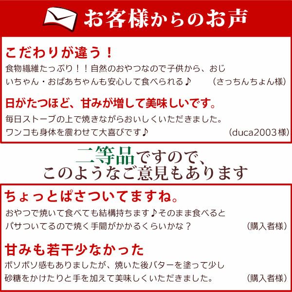 【訳ありの干し芋】干し焼き芋＜１０袋＞　角・平、指定不可◎