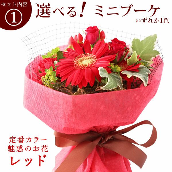 選べるHappyミニブーケとスイーツSet 母の日 早割 プレゼント 花 生花 ギフト 花束 フラワーアレンジメント カーネーション ガーベラ ブーケ スタンディングブーケ エコゼリー シフォンケーキ バラ 薔薇 送料無料 スイーツ お菓子 洋菓子 ギフトセット おいもや