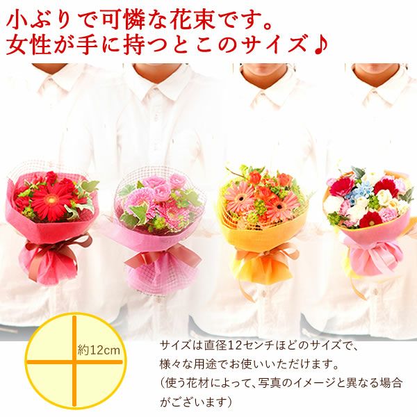 選べるHappyミニブーケとスイーツSet 母の日 早割 プレゼント 花 生花 ギフト 花束 フラワーアレンジメント カーネーション ガーベラ ブーケ スタンディングブーケ エコゼリー シフォンケーキ バラ 薔薇 送料無料 スイーツ お菓子 洋菓子 ギフトセット おいもや