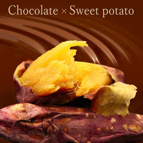 黄金のオペラ 【送料無料 ギフト プレゼント スイーツ お菓子 洋菓子 オペラ ケーキ チョコケーキ チョコレートケーキ おしゃれ 可愛い かわいい】