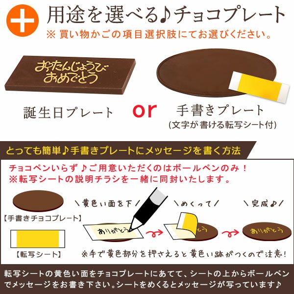 ホワイトデー ママと作ろう♪手作りクリスマスケーキセット (5号) 【ギフト プレゼント スイーツ お菓子 洋菓子 ケーキ 手作り 手作りケーキ 簡単 可愛い かわいい おしゃれ クリスマス クリスマスケーキ】