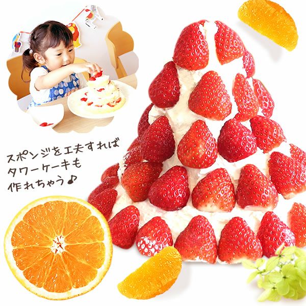 ホワイトデー ママと作ろう♪手作りクリスマスケーキセット (5号) 【ギフト プレゼント スイーツ お菓子 洋菓子 ケーキ 手作り 手作りケーキ 簡単 可愛い かわいい おしゃれ クリスマス クリスマスケーキ】