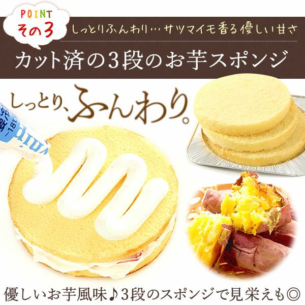 ホワイトデー ママと作ろう♪手作りクリスマスケーキセット (5号) 【ギフト プレゼント スイーツ お菓子 洋菓子 ケーキ 手作り 手作りケーキ 簡単 可愛い かわいい おしゃれ クリスマス クリスマスケーキ】