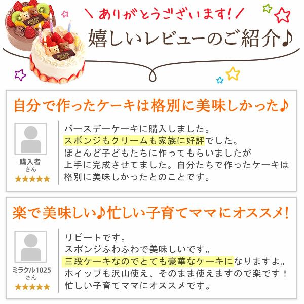 ホワイトデー ママと作ろう♪手作りクリスマスケーキセット (5号) 【ギフト プレゼント スイーツ お菓子 洋菓子 ケーキ 手作り 手作りケーキ 簡単 可愛い かわいい おしゃれ クリスマス クリスマスケーキ】