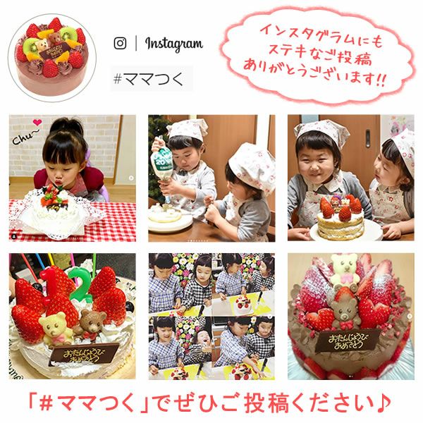 ホワイトデー ママと作ろう♪手作りクリスマスケーキセット (5号) 【ギフト プレゼント スイーツ お菓子 洋菓子 ケーキ 手作り 手作りケーキ 簡単 可愛い かわいい おしゃれ クリスマス クリスマスケーキ】
