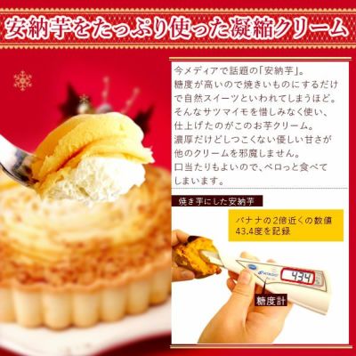 安納芋のチーズケーキタルト (5号) 【送料無料 ギフト プレゼント スイーツ お菓子 洋菓子 ケーキ チーズケーキ タルト チーズタルト おしゃれ 可愛い かわいい クリスマス クリスマスケーキ】