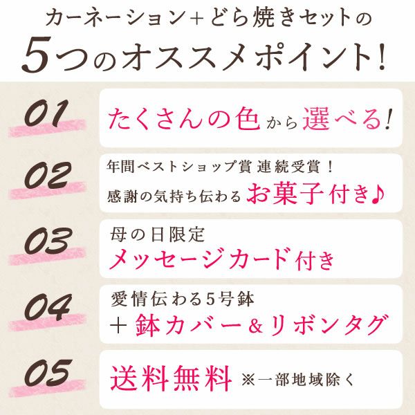 カーネーション(5号)＆お芋どら焼きセット 母の日 プレゼント お花 2025 ギフト 生花 鉢植え 希少 鉢花 カーネーション 5号 どら焼き おしゃれ かわいい 送料無料 スイーツ お菓子 和菓子 一人暮らし クーポン 楽天ランキング1位 セット