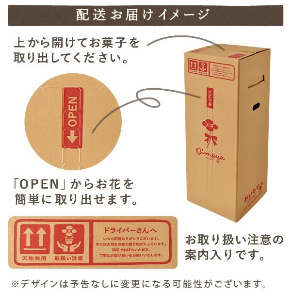 カーネーション(5号)＆お芋どら焼きセット 母の日 プレゼント お花 2025 ギフト 生花 鉢植え 希少 鉢花 カーネーション 5号 どら焼き おしゃれ かわいい 送料無料 スイーツ お菓子 和菓子 一人暮らし クーポン 楽天ランキング1位 セット