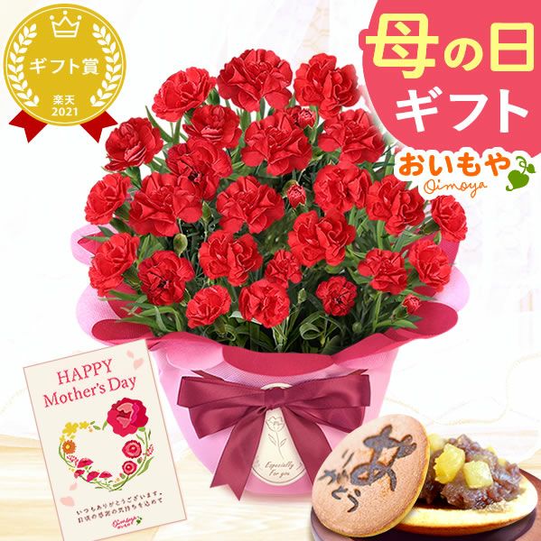 カーネーション(5号)＆お芋どら焼きセット 母の日 プレゼント お花 2025 ギフト 生花 鉢植え 希少 鉢花 カーネーション 5号 どら焼き おしゃれ かわいい 送料無料 スイーツ お菓子 和菓子 一人暮らし クーポン 楽天ランキング1位 セット