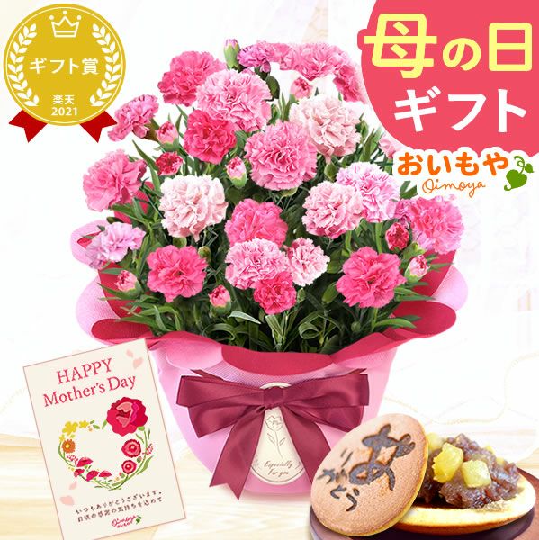 カーネーション(5号)＆お芋どら焼きセット 母の日 プレゼント お花 2025 ギフト 生花 鉢植え 希少 鉢花 カーネーション 5号 どら焼き おしゃれ かわいい 送料無料 スイーツ お菓子 和菓子 一人暮らし クーポン 楽天ランキング1位 セット