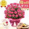 カーネーション(5号)＆お芋どら焼きセット 母の日 プレゼント お花 2025 ギフト 生花 鉢植え 希少 鉢花 カーネーション 5号 どら焼き おしゃれ かわいい 送料無料 スイーツ お菓子 和菓子 一人暮らし クーポン 楽天ランキング1位 セット