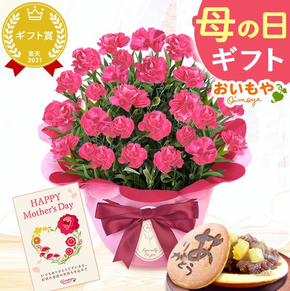 カーネーション(5号)＆お芋どら焼きセット 母の日 プレゼント お花 2025 ギフト 生花 鉢植え 希少 鉢花 カーネーション 5号 どら焼き おしゃれ かわいい 送料無料 スイーツ お菓子 和菓子 一人暮らし クーポン 楽天ランキング1位 セット