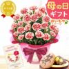 カーネーション(5号)＆お芋どら焼きセット 母の日 プレゼント お花 2025 ギフト 生花 鉢植え 希少 鉢花 カーネーション 5号 どら焼き おしゃれ かわいい 送料無料 スイーツ お菓子 和菓子 一人暮らし クーポン 楽天ランキング1位 セット