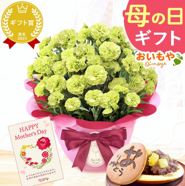 カーネーション(5号)＆お芋どら焼きセット 母の日 プレゼント お花 2025 ギフト 生花 鉢植え 希少 鉢花 カーネーション 5号 どら焼き おしゃれ かわいい 送料無料 スイーツ お菓子 和菓子 一人暮らし クーポン 楽天ランキング1位 セット