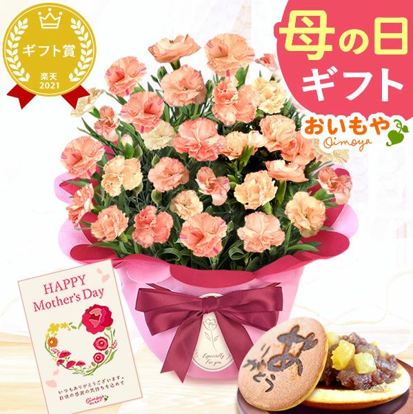 カーネーション(5号)＆お芋どら焼きセット 母の日 プレゼント お花 2025 ギフト 生花 鉢植え 希少 鉢花 カーネーション 5号 どら焼き おしゃれ かわいい 送料無料 スイーツ お菓子 和菓子 一人暮らし クーポン 楽天ランキング1位 セット