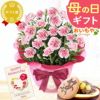 カーネーション(5号)＆お芋どら焼きセット 母の日 プレゼント お花 2025 ギフト 生花 鉢植え 希少 鉢花 カーネーション 5号 どら焼き おしゃれ かわいい 送料無料 スイーツ お菓子 和菓子 一人暮らし クーポン 楽天ランキング1位 セット