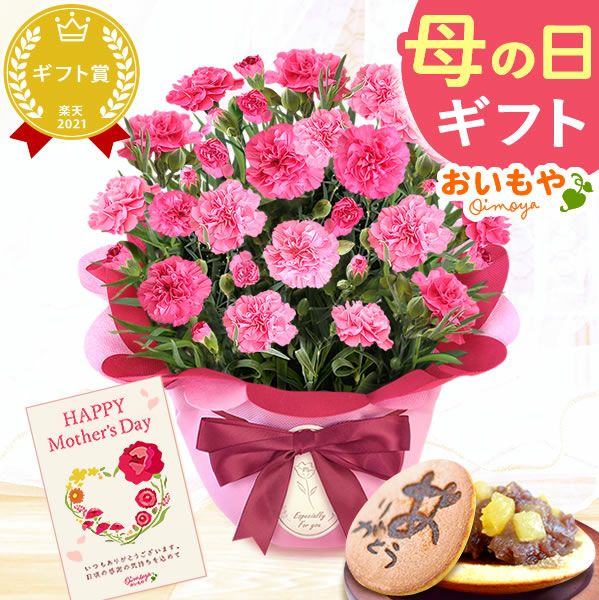 カーネーション(5号)＆お芋どら焼きセット 母の日 プレゼント お花 2025 ギフト 生花 鉢植え 希少 鉢花 カーネーション 5号 どら焼き おしゃれ かわいい 送料無料 スイーツ お菓子 和菓子 一人暮らし クーポン 楽天ランキング1位 セット