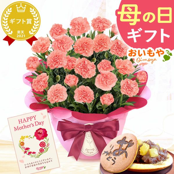 カーネーション(5号)＆お芋どら焼きセット 母の日 プレゼント お花 2025 ギフト 生花 鉢植え 希少 鉢花 カーネーション 5号 どら焼き おしゃれ かわいい 送料無料 スイーツ お菓子 和菓子 一人暮らし クーポン 楽天ランキング1位 セット