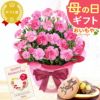 カーネーション(5号)＆お芋どら焼きセット 母の日 プレゼント お花 2025 ギフト 生花 鉢植え 希少 鉢花 カーネーション 5号 どら焼き おしゃれ かわいい 送料無料 スイーツ お菓子 和菓子 一人暮らし クーポン 楽天ランキング1位 セット