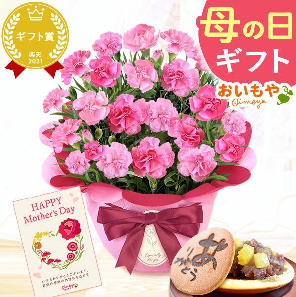 カーネーション(5号)＆お芋どら焼きセット 母の日 プレゼント お花 2025 ギフト 生花 鉢植え 希少 鉢花 カーネーション 5号 どら焼き おしゃれ かわいい 送料無料 スイーツ お菓子 和菓子 一人暮らし クーポン 楽天ランキング1位 セット