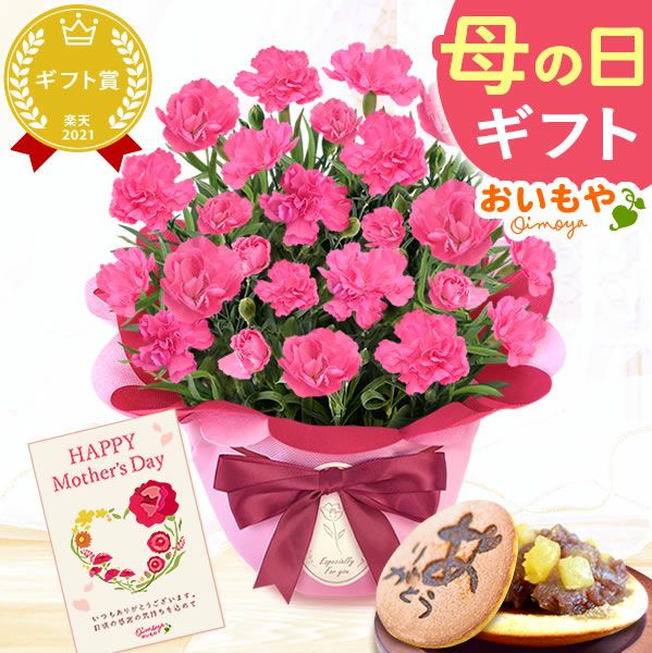 カーネーション(5号)＆お芋どら焼きセット 母の日 プレゼント お花 2025 ギフト 生花 鉢植え 希少 鉢花 カーネーション 5号 どら焼き おしゃれ かわいい 送料無料 スイーツ お菓子 和菓子 一人暮らし クーポン 楽天ランキング1位 セット