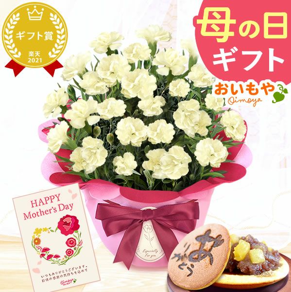 カーネーション(5号)＆お芋どら焼きセット 母の日 プレゼント お花 2025 ギフト 生花 鉢植え 希少 鉢花 カーネーション 5号 どら焼き おしゃれ かわいい 送料無料 スイーツ お菓子 和菓子 一人暮らし クーポン 楽天ランキング1位 セット