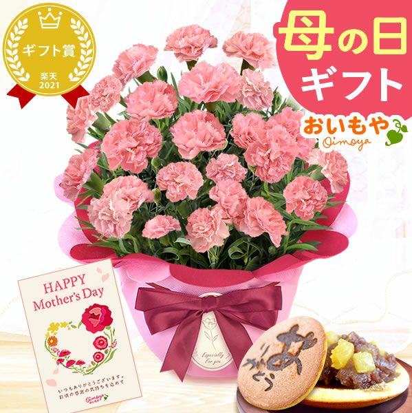 カーネーション(5号)＆お芋どら焼きセット 母の日 プレゼント お花 2025 ギフト 生花 鉢植え 希少 鉢花 カーネーション 5号 どら焼き おしゃれ かわいい 送料無料 スイーツ お菓子 和菓子 一人暮らし クーポン 楽天ランキング1位 セット