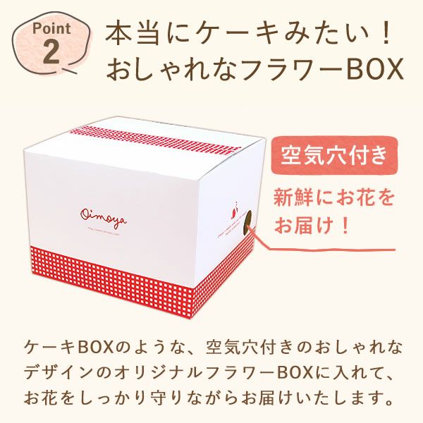 カラフルケイトウ＆シフォンケーキセット 【母の日 プレゼント 花 ギフト ケイトウ シフォンケーキ 鉢花 5号 カラフル 送料無料 スイーツ お菓子 洋菓子 ギフトセット おいもや】