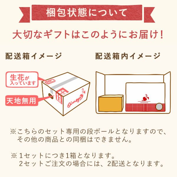 カラフルケイトウ＆シフォンケーキセット 【母の日 プレゼント 花 ギフト ケイトウ シフォンケーキ 鉢花 5号 カラフル 送料無料 スイーツ お菓子 洋菓子 ギフトセット おいもや】