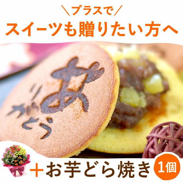 母の日 プレゼント 花 生花 ギフト カランコエ 5号 ミックス 4色 小花 カラフル どら焼き どらやき ラッピング リボン タグ付き 鉢カバー 送料無料 スイーツ お菓子 和菓子 ギフトセット おいもや