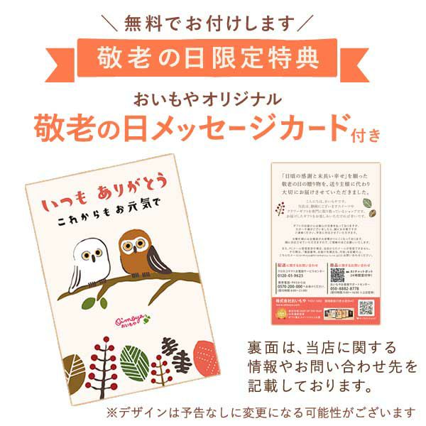 カランコエ5号鉢＆ミニ苺バウムクーヘンセット 敬老の日 プレゼント ギフト 早割 花 花鉢 鉢花 鉢植え 生花 カランコエ バウムクーヘン 送料無料 スイーツ お菓子 洋菓子 メッセージカード おいもや