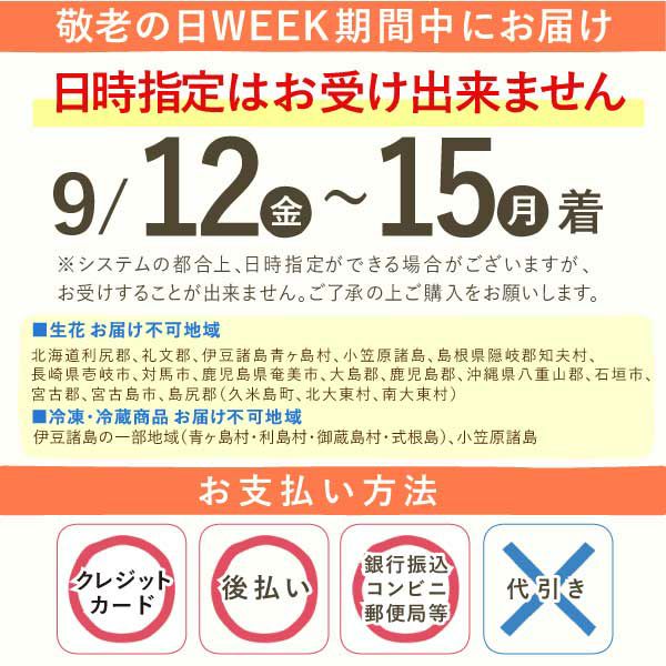 カランコエ5号鉢＆ミニ苺バウムクーヘンセット 敬老の日 プレゼント ギフト 早割 花 花鉢 鉢花 鉢植え 生花 カランコエ バウムクーヘン 送料無料 スイーツ お菓子 洋菓子 メッセージカード おいもや