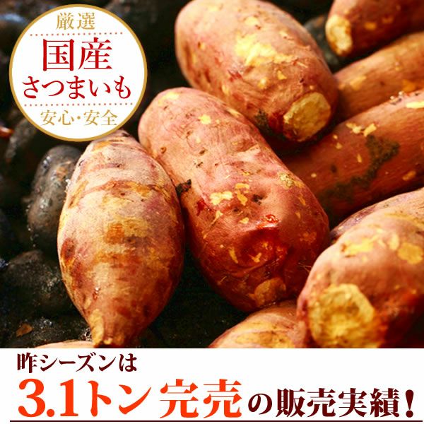 紅はるかの焼き芋 (1本) 【国産 焼きいも 焼芋 やきいも ヤキイモ 紅はるか べにはるか ベニハルカ さつまいも サツマイモ 薩摩芋 スイーツ 個包装 冷凍 冷やし 冷やし焼き芋 冷凍焼き芋 ひんやりスイーツ】