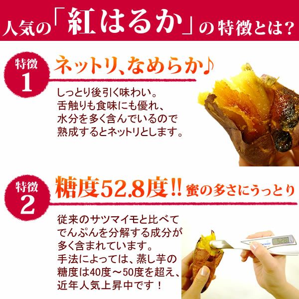 紅はるかの焼き芋 (1本) 【国産 焼きいも 焼芋 やきいも ヤキイモ 紅はるか べにはるか ベニハルカ さつまいも サツマイモ 薩摩芋 スイーツ 個包装 冷凍 冷やし 冷やし焼き芋 冷凍焼き芋 ひんやりスイーツ】