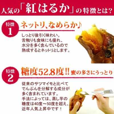 紅はるかの焼き芋 (1本) 【国産 焼きいも 焼芋 やきいも ヤキイモ 紅はるか べにはるか ベニハルカ さつまいも サツマイモ 薩摩芋 スイーツ 個包装 冷凍 冷やし 冷やし焼き芋 冷凍焼き芋 ひんやりスイーツ】