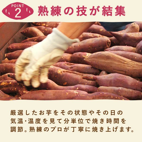 ホワイトデー 2025 予約 義理芋 1本 [チョコ以外 チョコレート以外 焼き芋 焼きいも やきいも スイーツ お菓子 和菓子 本命 義理 友チョコ お返し 女性 彼女 高校生 おしゃれ 可愛い トレンド おすすめ