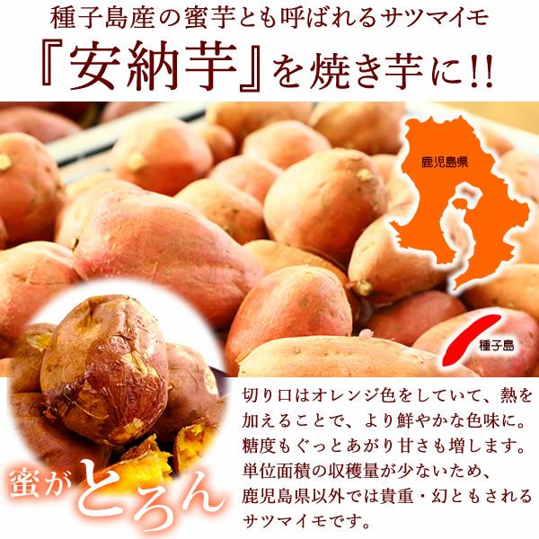 安納芋の大入り焼き芋 (500g) [ベビーサイズ] 【送料無料 国産 焼き芋 焼きいも やきいも ヤキイモ さつまいも サツマイモ 薩摩芋 安納芋 スイーツ】
