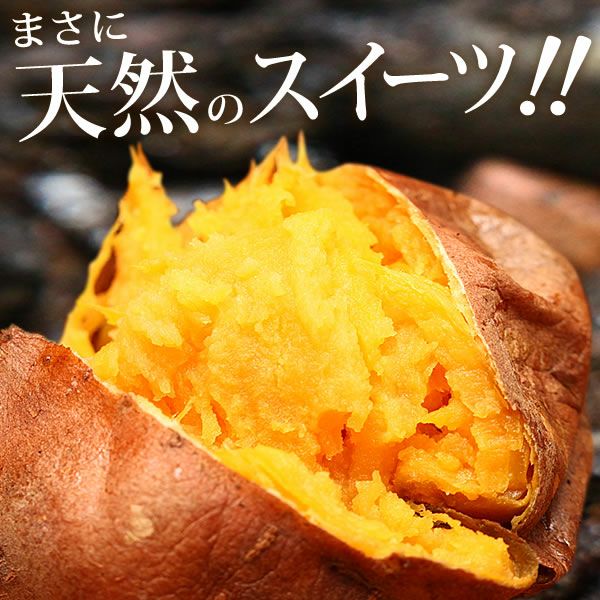 安納芋の大入り焼き芋 (500g) [ベビーサイズ] 【送料無料 国産 焼き芋 焼きいも やきいも ヤキイモ さつまいも サツマイモ 薩摩芋 安納芋 スイーツ】