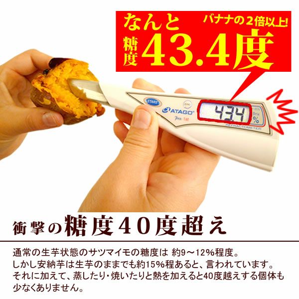 安納芋の大入り焼き芋 (500g) [ベビーサイズ] 【送料無料 国産 焼き芋 焼きいも やきいも ヤキイモ さつまいも サツマイモ 薩摩芋 安納芋 スイーツ】