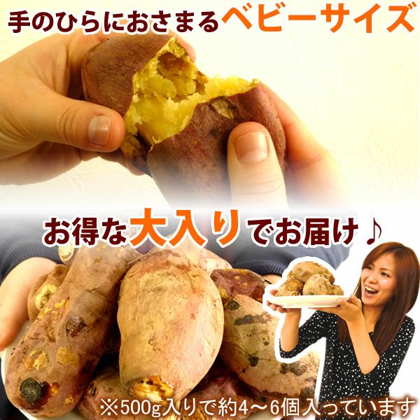 紅はるかの大入り焼き芋 (500g) [ベビーサイズ] 【送料無料 国産 焼き芋 焼きいも やきいも ヤキイモ さつまいも サツマイモ 薩摩芋 紅はるか べにはるか ベニハルカ スイーツ】