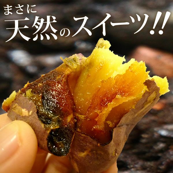 紅はるかの大入り焼き芋 (500g) [ベビーサイズ] 【送料無料 国産 焼き芋 焼きいも やきいも ヤキイモ さつまいも サツマイモ 薩摩芋 紅はるか べにはるか ベニハルカ スイーツ】