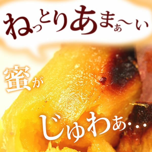 紅はるかの大入り焼き芋 (500g) [ベビーサイズ] 【送料無料 国産 焼き芋 焼きいも やきいも ヤキイモ さつまいも サツマイモ 薩摩芋 紅はるか べにはるか ベニハルカ スイーツ】