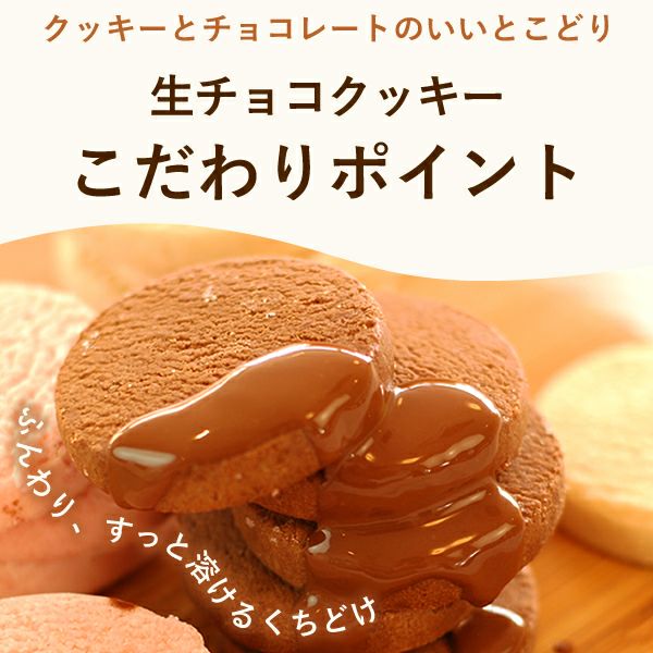 くちどけ生チョコクッキー (3枚) 【ギフト プレゼント スイーツ お菓子 洋菓子 クッキー チョコレート チョコ お祝い 誕生日 お礼 内祝い お見舞い お世話になりました お供え 産休 転勤 結婚式 送別会 お配り プチギフト おしゃれ 可愛い かわいい】